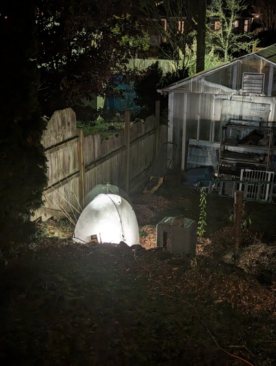 (January 15, 2024) Frost protection -- Covered with a loosely fitting and leaky/torn cloth frost cover for the current freeze, but it does have a 32w LED grow light inside for warmth and light. Sensor shows only a couple degrees warmer than outside, though.