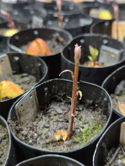 (March 18, 2024) Photo -- Healthy looking