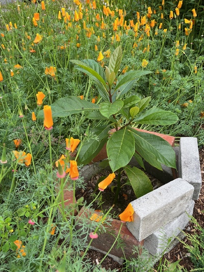 (July 4, 2024) A photo update -- Doing well.