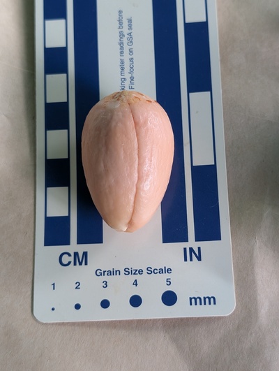 (photo taken October 25, 2025)