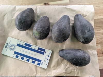 (October 25, 2025) Fruit received -- Just received a gift of 5 fruit from the ortet.