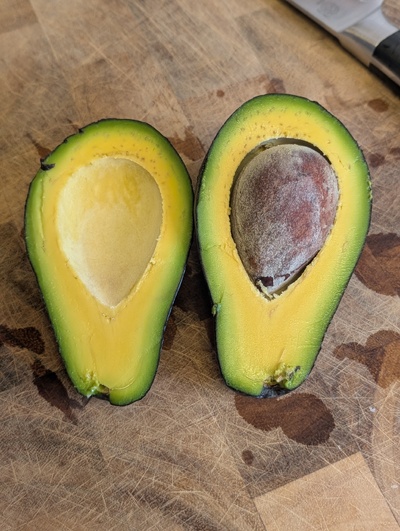 (photo taken October 26, 2025)