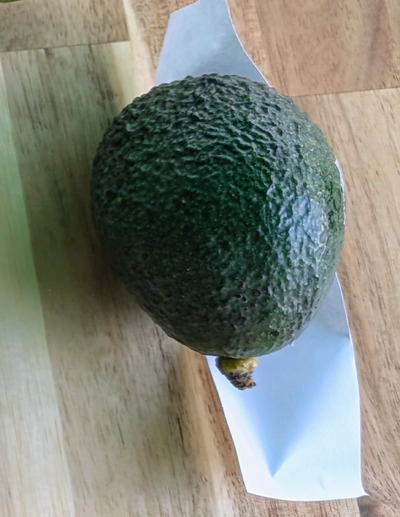 (photo taken October 27, 2025)