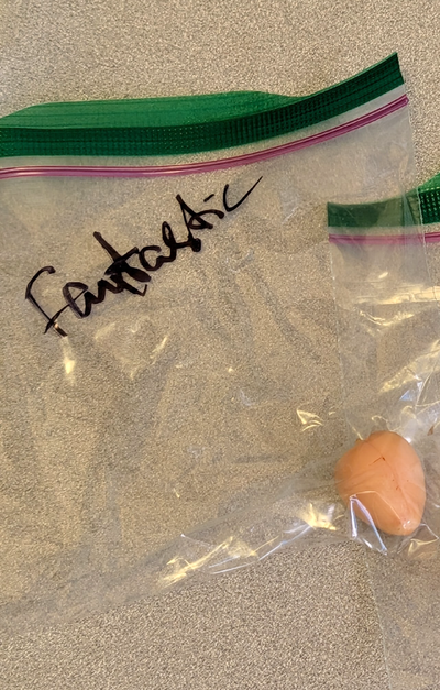 (photo taken November 3, 2025)