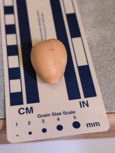 (photo taken November 3, 2025)