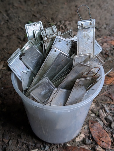 (photo taken November 4, 2025)