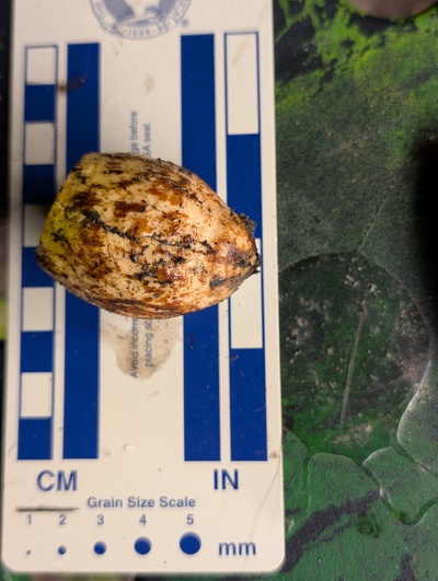 (photo taken November 6, 2025)