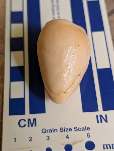 (photo taken November 9, 2025)