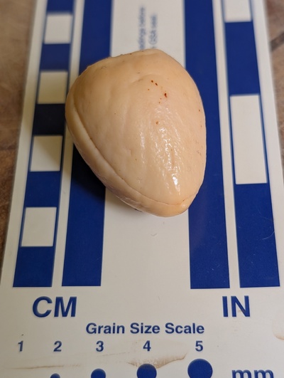 (photo taken November 9, 2025)