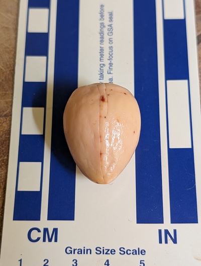 (photo taken November 9, 2025)