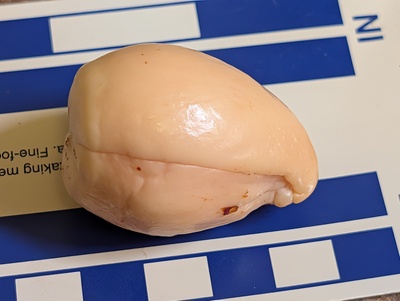 (photo taken November 9, 2025)