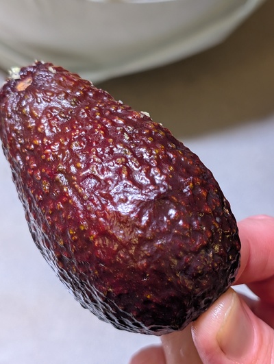 (photo taken November 16, 2025)