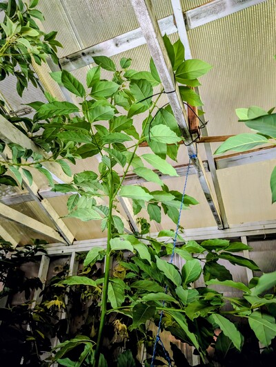 (photo taken November 26, 2025)