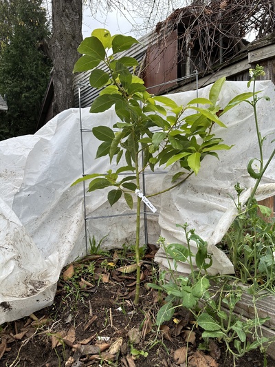 (photo taken December 4, 2025)