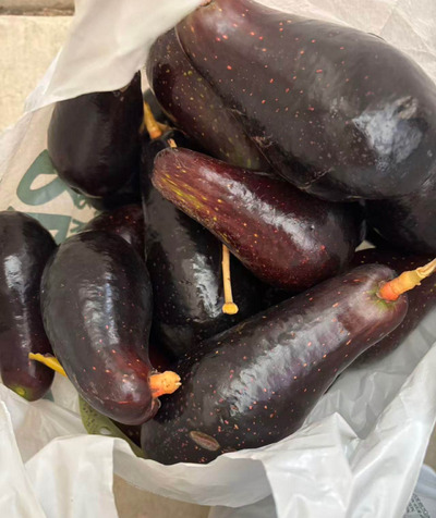 (photo taken December 13, 2025)