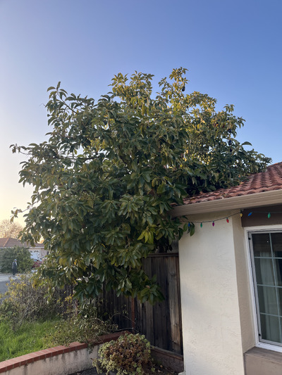 (photo taken December 13, 2025)