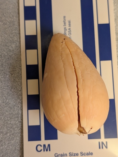 (photo taken December 13, 2025)