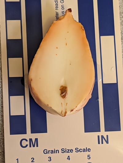 (photo taken December 13, 2025)