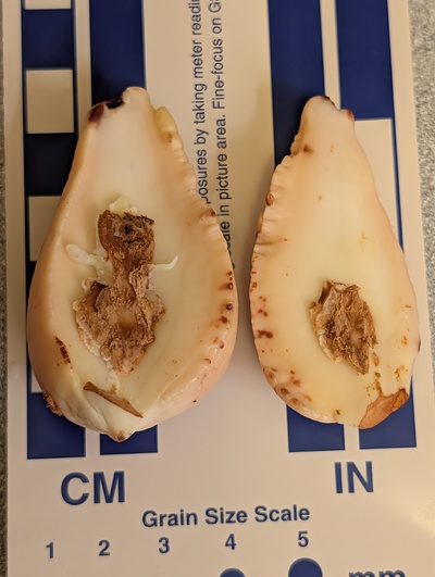 (photo taken December 13, 2025)