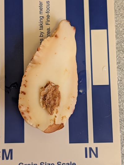 (photo taken December 13, 2025)