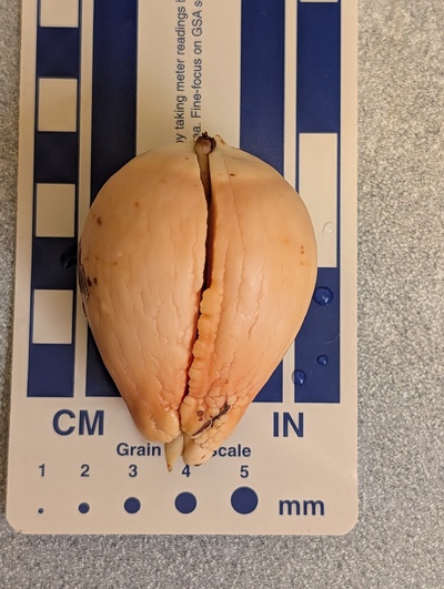 (photo taken December 13, 2025)