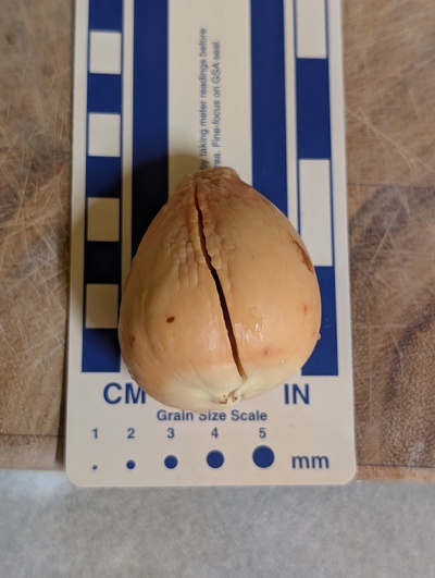 (photo taken December 16, 2025)