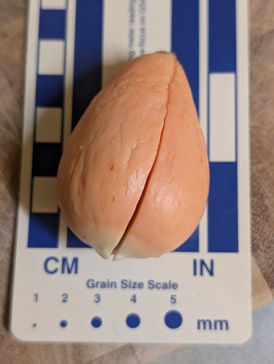 (photo taken December 16, 2025)