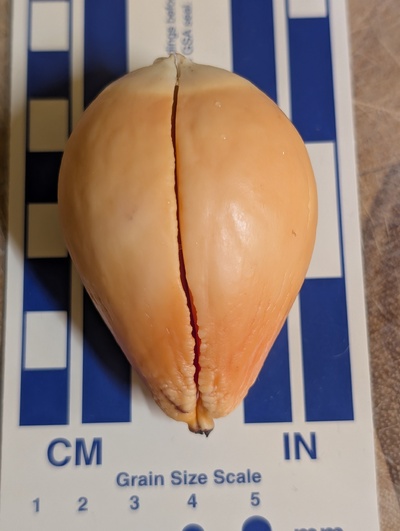 (photo taken December 16, 2025)