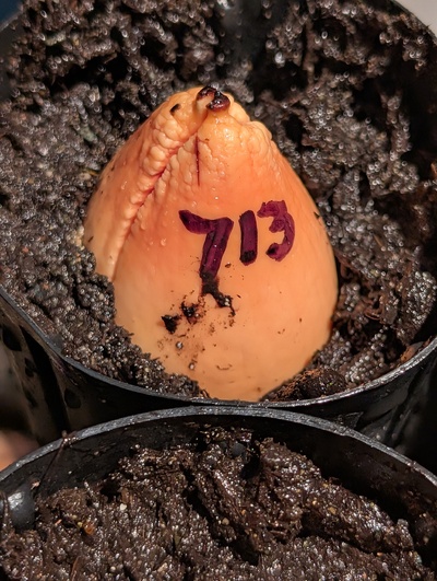 (photo taken December 17, 2025)