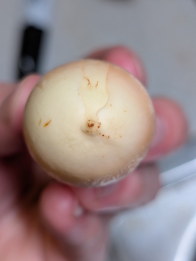 (photo taken December 17, 2025)