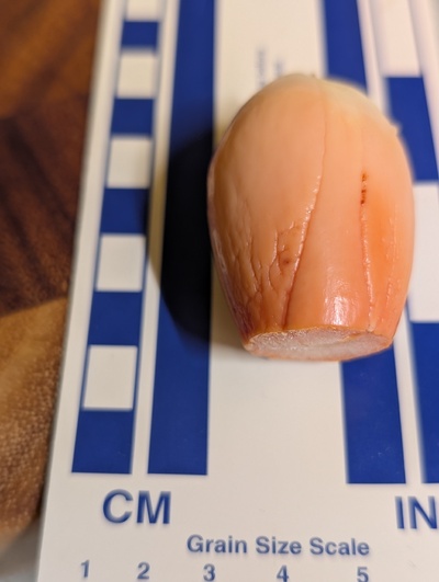 (photo taken December 17, 2025)