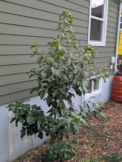 (photo taken January 26, 2026)