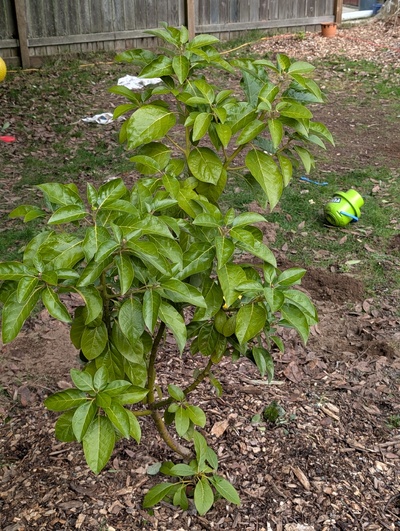 (photo taken January 26, 2026)