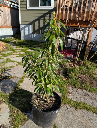 (photo taken February 14, 2026)