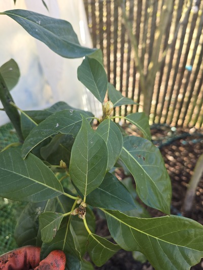 (photo taken February 27, 2026)