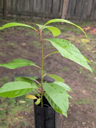 (photo taken March 4, 2026)