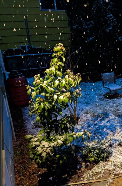 (March 14, 2026) Update -- Snow