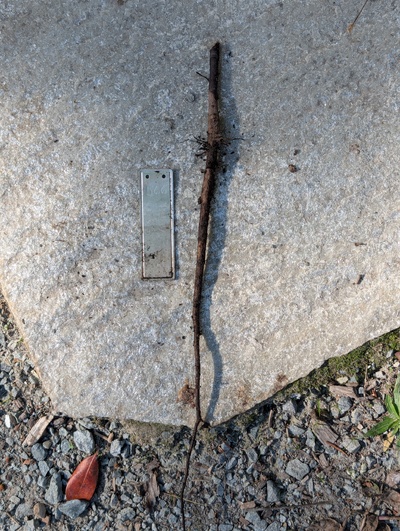 (October 21, 2026) Dead -- Never really recovered after the graft failed.